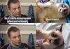 snickers