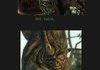 Why I love fallout