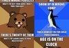 Pedobear Comp