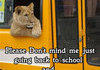 Don't mind me just Going back to school