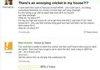 yahoo answers WIN