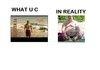 Hollister vs Reality