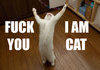 Beacause