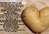 Love is