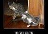 Kick!