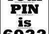 Your Pin