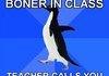 socially awkward penguin #2