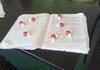Spilled water all over my book