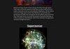 Universal Phenomenon