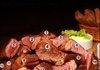 Why you shouldn't be a carnivore