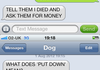 Dog Texts Comp. 2