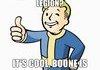 Fallout Companion