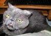 Samuel L. Catson