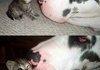 D'aww