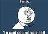 Penis