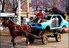Horse and Car t