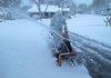 Life on Hoth