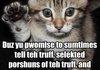 kitten oaths