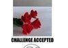 Rubber art Challenge accepted