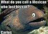its funny because its my name HA