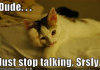 JUST STOP ! ! !
