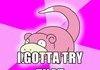 Pokeslow
