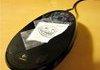 Mouse troll
