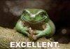 Mr burns frog