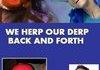 We herp our derp back and forth