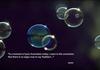Bubbles