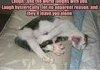 weird cat
