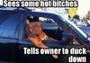 Dat Dawg (DESCRIPTION)