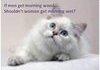 Quizzical Pussy 2