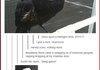 Quoth the Raven