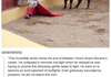 Bullfighting