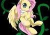 Fluttershy & Angel
