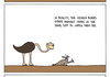 Ostrich Facts