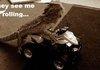 lizards nowadays...