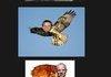 Celebrity Animal Names