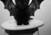 Vampire