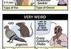 Hierarchy of Creepy Pet Ownership