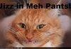 Jizz Kitteh!