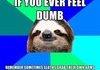 Sloths