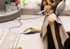 Internet Skeleton