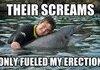 swim with the dolphins