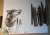 Wolf drawing