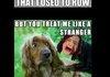 Gotye Comp