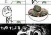 Green Skittles.
