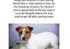 Dogs, man's best friend