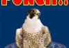FALCON PUNCH!